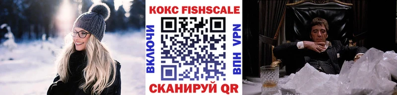 kraken ТОР  Мариинск  Cocaine Fish Scale 