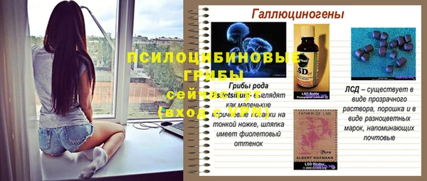 стафф Володарск