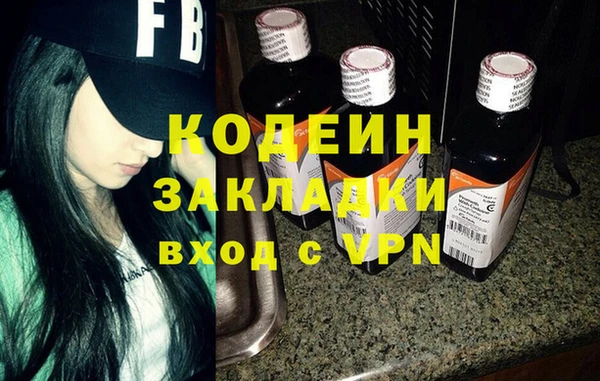 прущие грибы Слюдянка